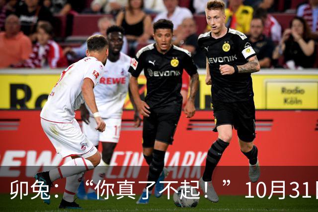 卯兔：“你真了不起！”10月31日起万年一遇的双“四囍”排队敲门