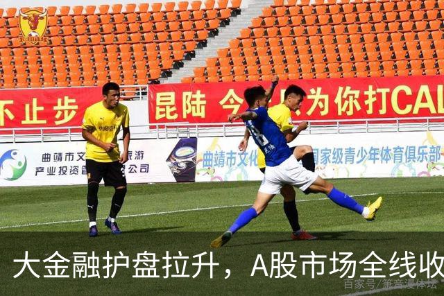 大金融护盘拉升，A股市场全线收跌，科创板跌超4%再创新低