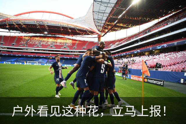 户外看见这种花，立马上报！