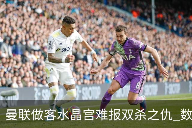 曼联做客水晶宫难报双杀之仇 数据示1-1战平
