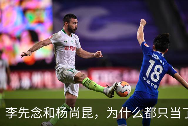 李先念和杨尚昆，为什么都只当了一届国家主席？