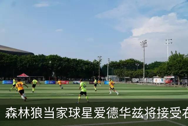 森林狼当家球星爱德华兹将接受右膝关节镜手术，预计伤停两个月，会对他的职业生涯有多大影响？球队阵容会如何调整？