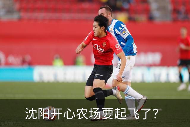 沈阳开心农场要起飞了？
