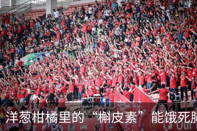洋葱柑橘里的“槲皮素”能饿死肺癌？新研究：高浓度下几乎阻断癌细胞转移
