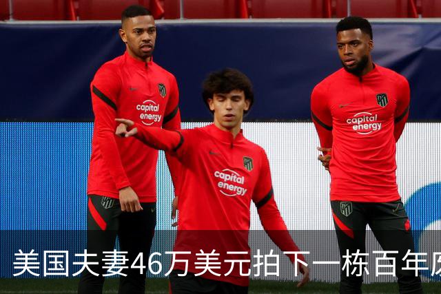 美国夫妻46万美元拍下一栋百年废弃豪宅，拿到钥匙后傻眼：整片房子都被“它们”占领了……