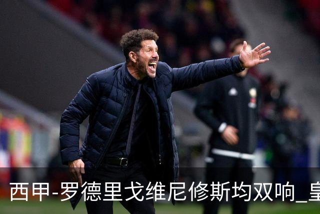 西甲-罗德里戈维尼修斯均双响 皇马5-1瓦伦西亚