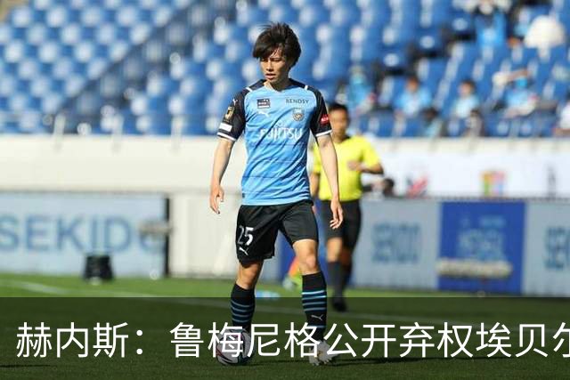 赫内斯：鲁梅尼格公开弃权埃贝尔投票没必要