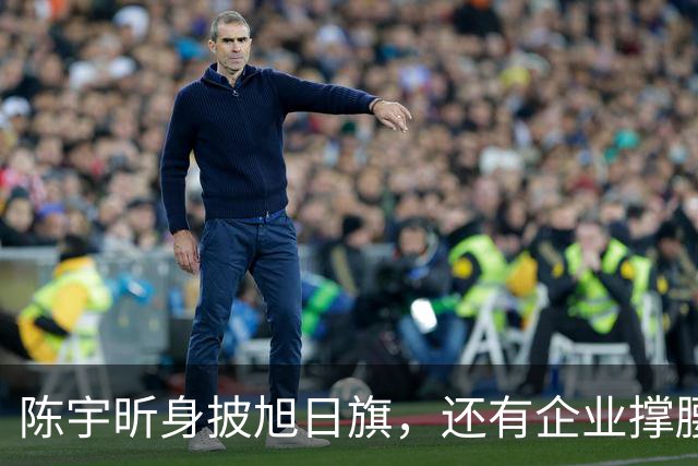 陈宇昕身披旭日旗，还有企业撑腰，汤家凤怒喊露头就打