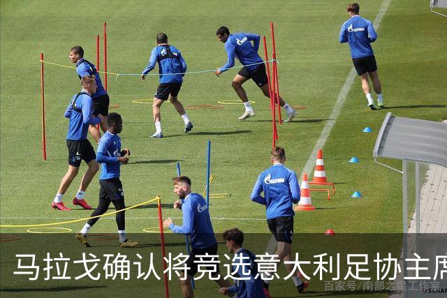 马拉戈确认将竞选意大利足协主席：需遵循程序并获得足够支持