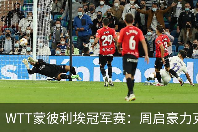 WTT蒙彼利埃冠军赛：周启豪力克勒布伦，早田希娜、蒯曼晋级八强